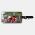 Monarque Orange Papillon Floral Photo