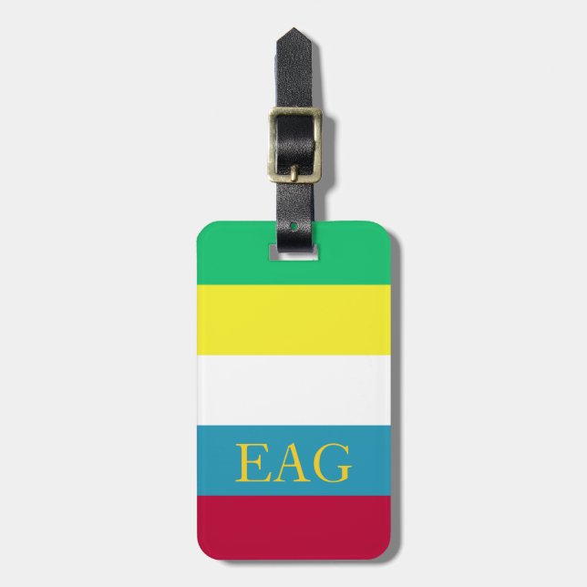 Étiquette À Bagage Monogramme de rayure de palette de pique-nique (Devant Vertical)