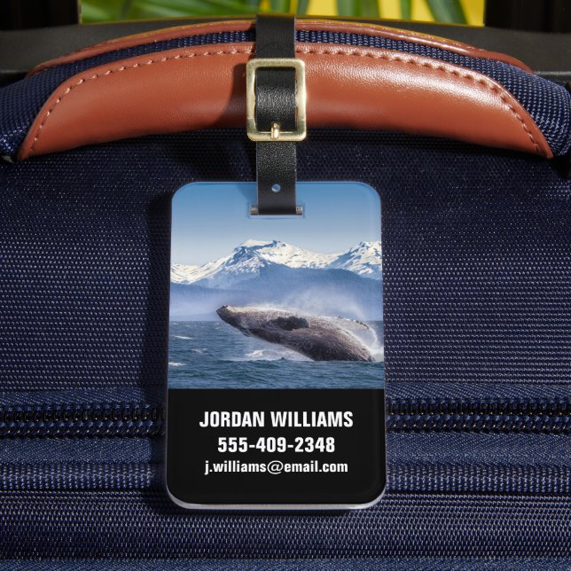 Étiquette À Bagage Montagnes | Baleines en route Glacier Bay, Alaska (Insitu Rectoal 2)