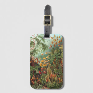 Étiquette À Bagage Muscinae vintage, Plantes de la mousse par Ernst H
