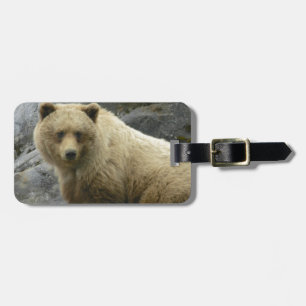 Étiquette À Bagage Nature de destin d'animaux de l'Alaska d'ours