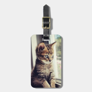Étiquette À Bagage Observation tigrée de chaton
