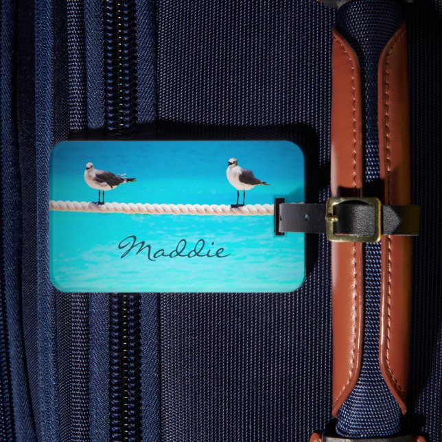 Étiquette À Bagage Oiseaux de goéland blanc par océan photo nom perso (Insitu Rectoal 4)