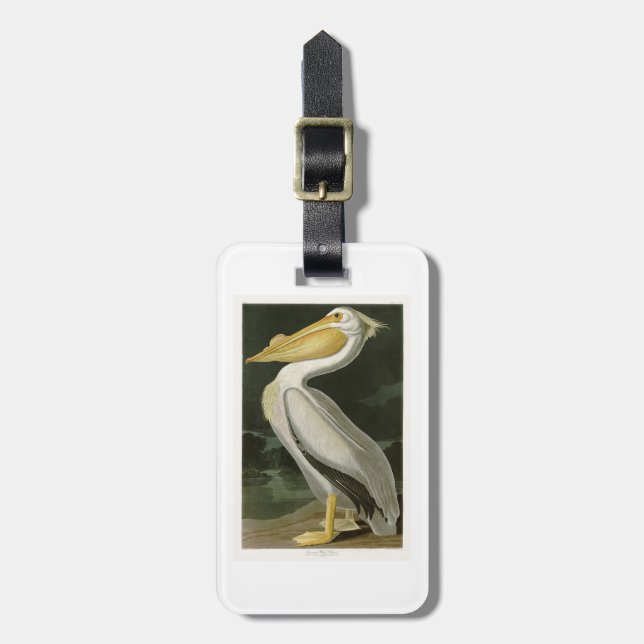 Étiquette À Bagage Oiseaux de John James Audubon de pélican blanc de (Devant Vertical)
