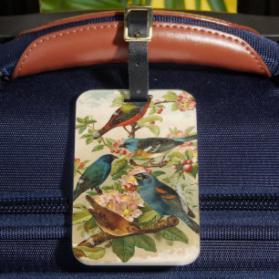 Étiquette À Bagage Oiseaux nord-américains   Tzel Gustav Mü