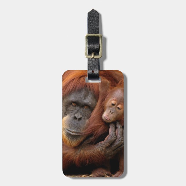 Étiquette À Bagage Orang-outan de mère et de bébé (Devant Vertical)