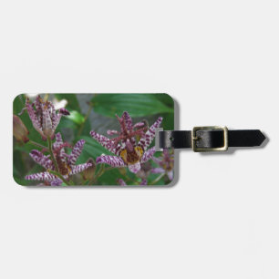 Étiquette À Bagage Orchidée blanche rayée violette rose comme lys de