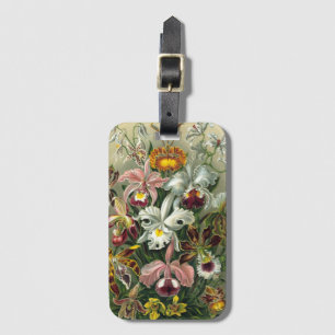 Étiquette À Bagage Orchidées Ernst Haeckel, Fleurs Vintages de la for