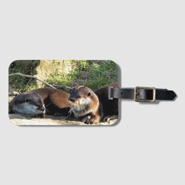 ÉTIQUETTE À BAGAGE OTTERS (Devant Horizontal)
