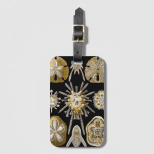 Étiquette À Bagage Oursins Vintage Dollars des sables par Ernst Haeck