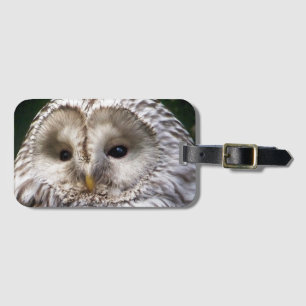 ÉTIQUETTE À BAGAGE OWLS