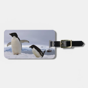 Étiquette À Bagage Pair Adelie pingouins Antarctique
