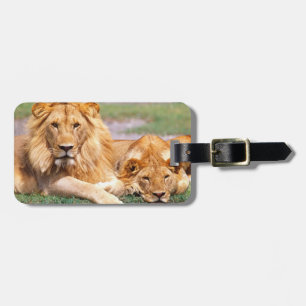 Étiquette À Bagage Paire de lions d'Afrique, Panthera leo, Tanzanie