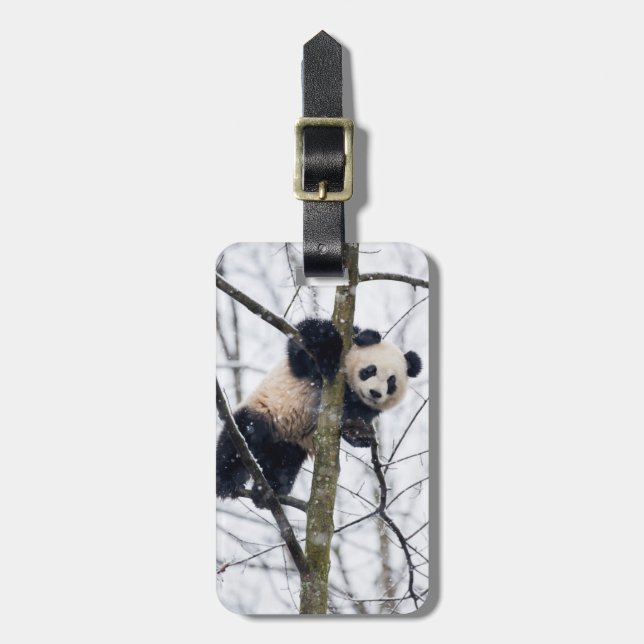 Étiquette À Bagage Panda bébé dans l'arbre (Devant Vertical)