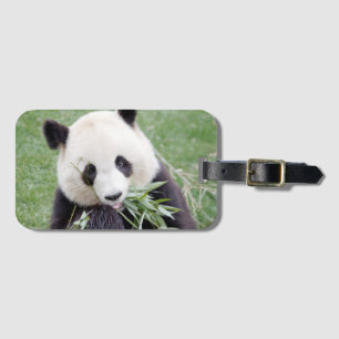 Étiquette À Bagage Panda géant de bagage 3. Étiquette de bagage