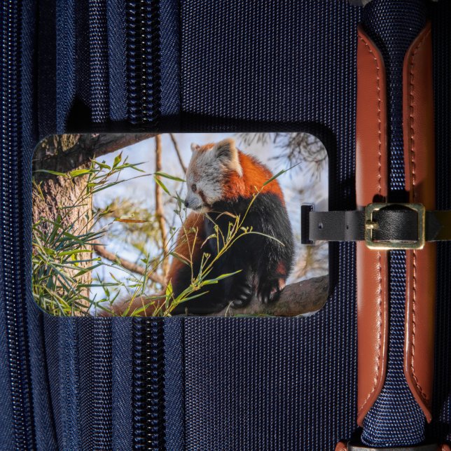 Étiquette À Bagage Panda rouge (Insitu Rectoal 4)