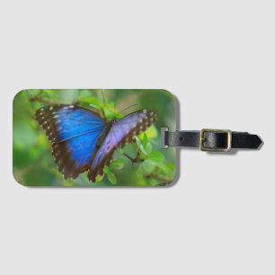 Étiquette À Bagage Papillon bleu