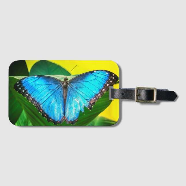 Étiquette À Bagage Papillon bleu Morpho Floral Nature Art (Devant Horizontal)