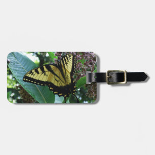 Étiquette À Bagage Papillon Swallowtail I sur Milkweed à Shenandoah