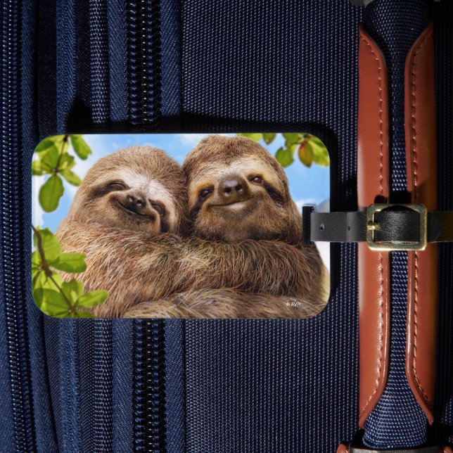 Étiquette À Bagage Paresseux Couple (Insitu Rectoal 4)