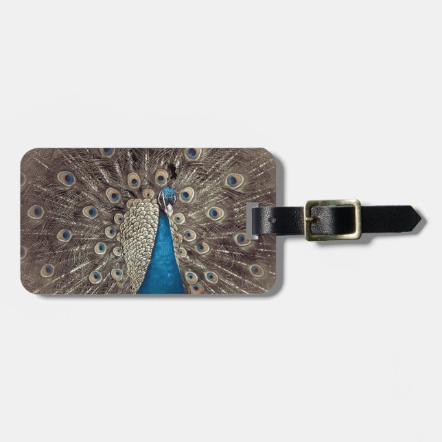Étiquette À Bagage Peacock bleu antique (Devant horizontal)