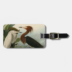 Étiquette À Bagage Peinture de la faune d'Audubon Heron violet