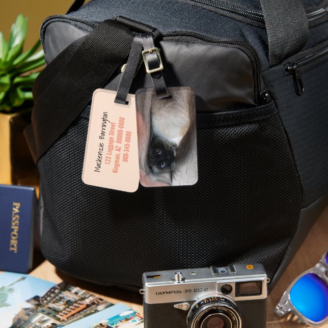 Étiquette À Bagage Pékin Bleu Oyé Siamese Kitten Sous Couvert (Recto & Verso)