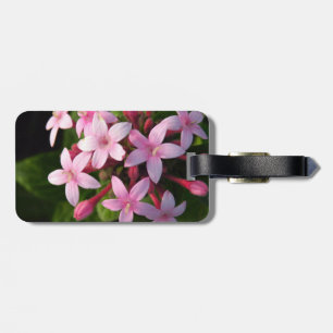 Étiquette À Bagage Pentas