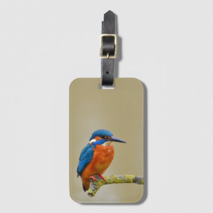 Étiquette À Bagage Perching Kingfisher