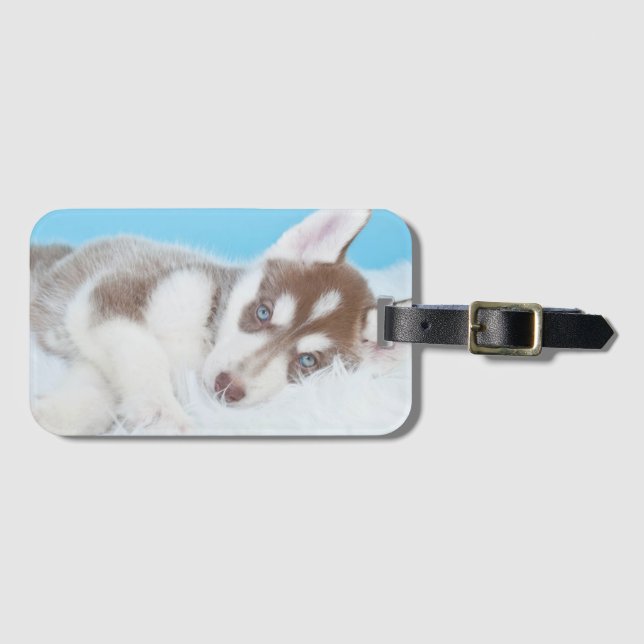 Étiquette À Bagage Petite marionnette Husky posée sur une couverture (Devant Horizontal)