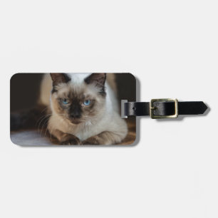Étiquette À Bagage Photo de chat de animal moderne