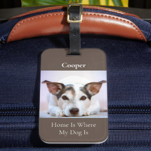 Étiquette À Bagage Photo de chien moderne personnalisée