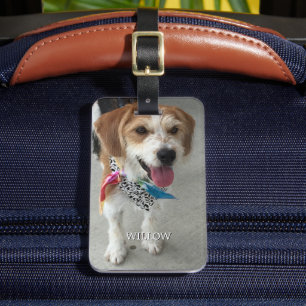 Étiquette À Bagage Photo et nom de l'animal, Coordonnées