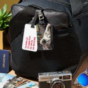 Étiquette À Bagage Photo Kitten Glamor