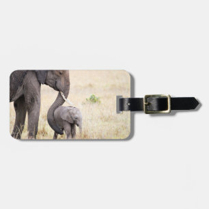 Étiquette À Bagage Photographie de la faune des éléphants Afrique Saf