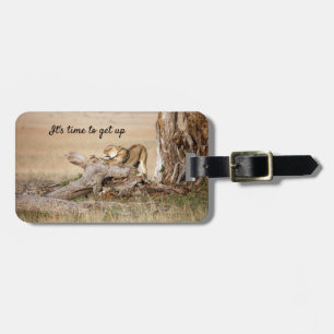Étiquette À Bagage Photographie de la faune du lion Afrique safari an