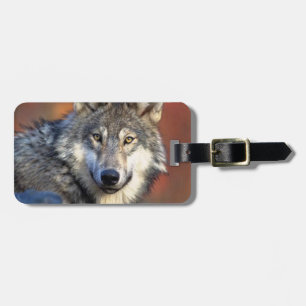 Étiquette À Bagage Photographie de loup