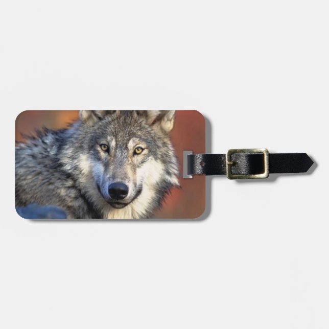 Étiquette À Bagage Photographie de loup (Devant horizontal)