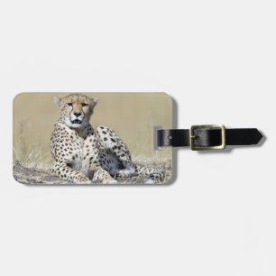 Étiquette À Bagage Photos de la faune de Cheetah Afrique Safari anima