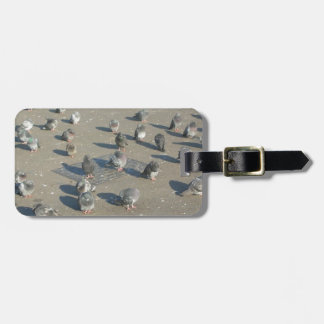 Étiquette À Bagage Pigeons