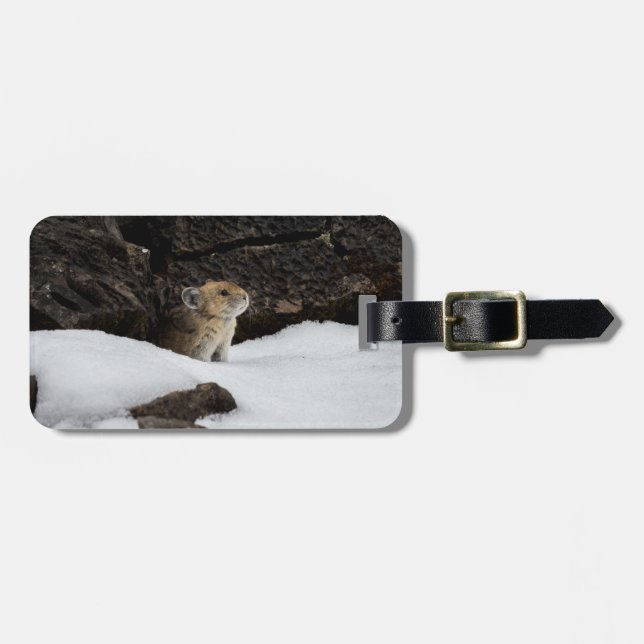 Étiquette À Bagage Pika dans l'étiquette de neige avec coordonnées (Devant horizontal)