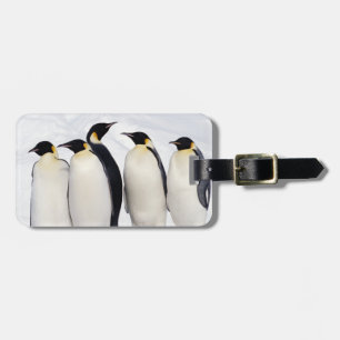 Étiquette À Bagage Pingouins d'empereur
