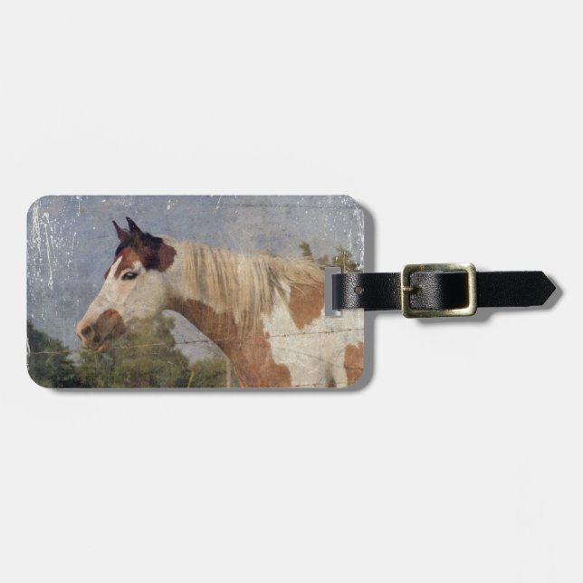 Étiquette À Bagage Pinto Horse Grunge (Devant horizontal)