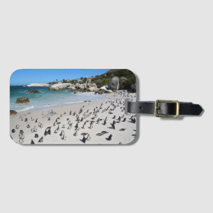 Étiquette À Bagage Plage Afrique du Sud de rochers de pingouins