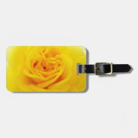 Plan rapproché de fleur de rose jaune