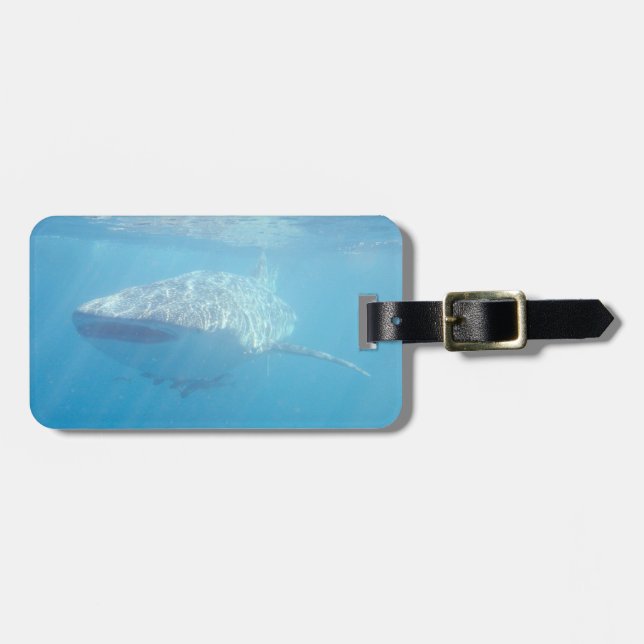Étiquette À Bagage Plan rapproché sous-marin de requin de baleine (Devant horizontal)