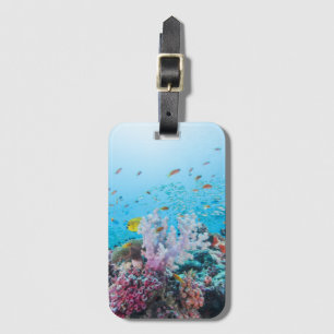 Étiquette À Bagage Plongée à l'air avec le récif et le corail colorés