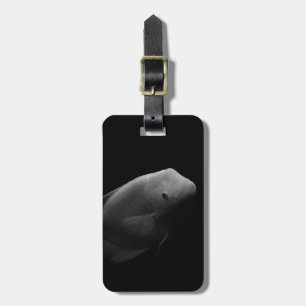 Étiquette À Bagage Poisson dans un réservoir - Photographie d'art noi
