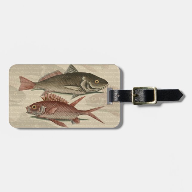 Étiquette À Bagage Poisson Perche rouge Art pêcheur (Devant horizontal)