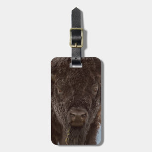 Étiquette À Bagage Portrait de Bison Bull